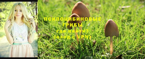 гашишное масло Баксан