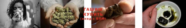 шишки Балабаново