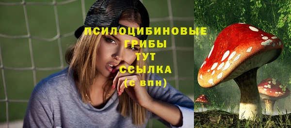 эйфоретик Лабытнанги