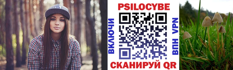 Галлюциногенные грибы мицелий  где найти   блэк спрут ссылка  Новый Оскол 