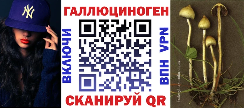 Псилоцибиновые грибы мицелий Новый Оскол